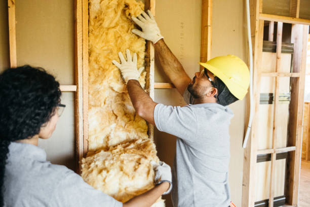 Best Commercial Insulation Contractor  in Nolensville, TN